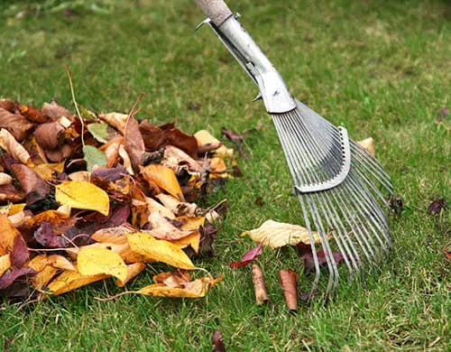 Image Title: Image Title: