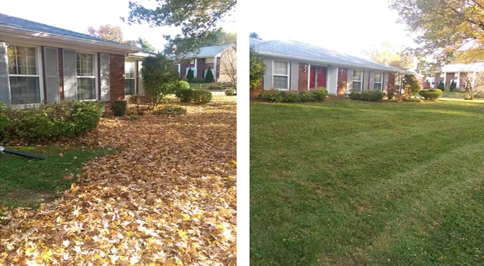 Image Title: Image Title: