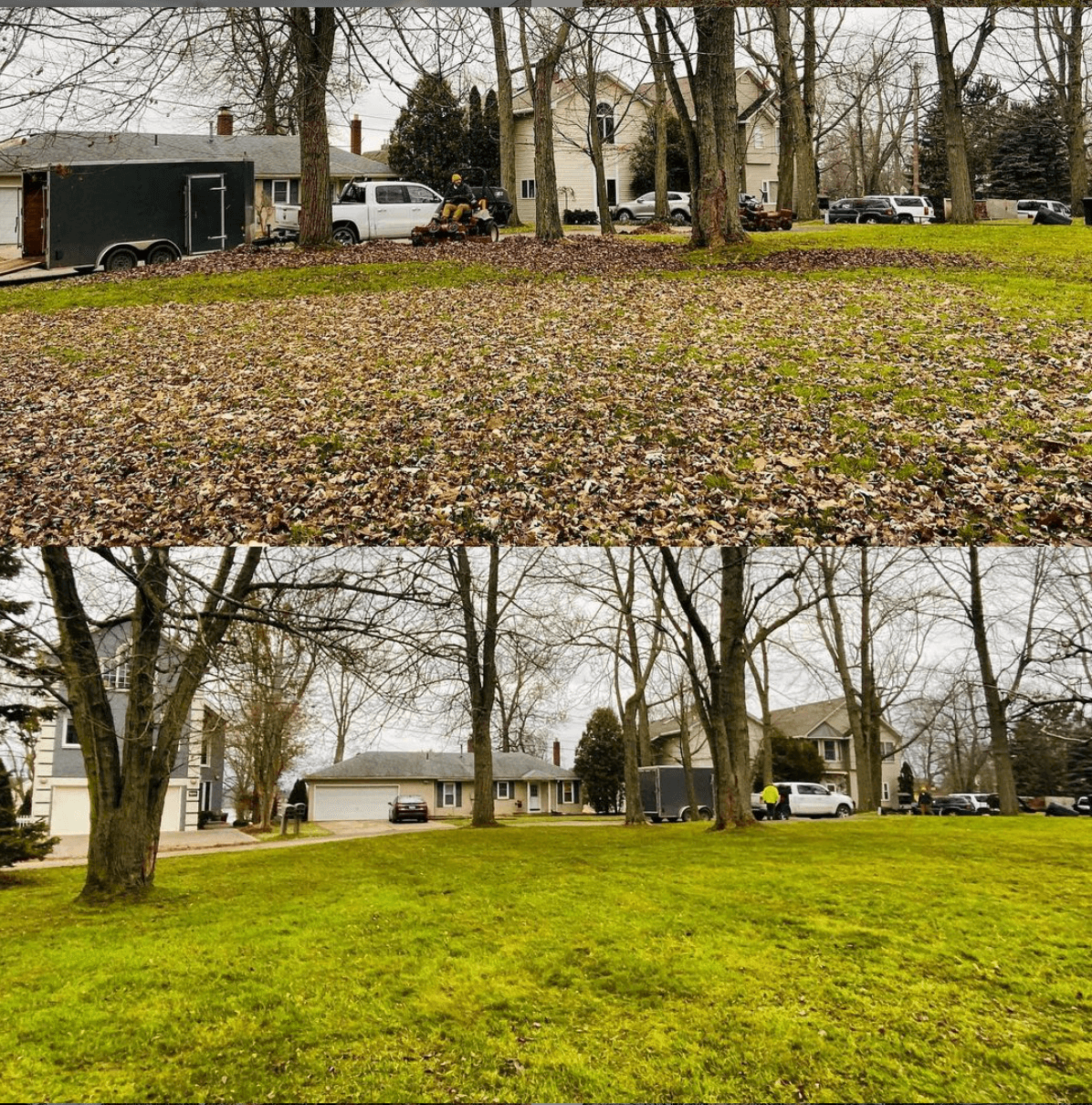 Image Title: Image Title: